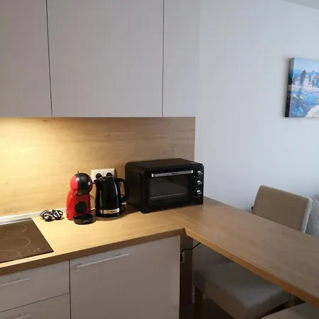 Forest Chamkoria * Boroveț