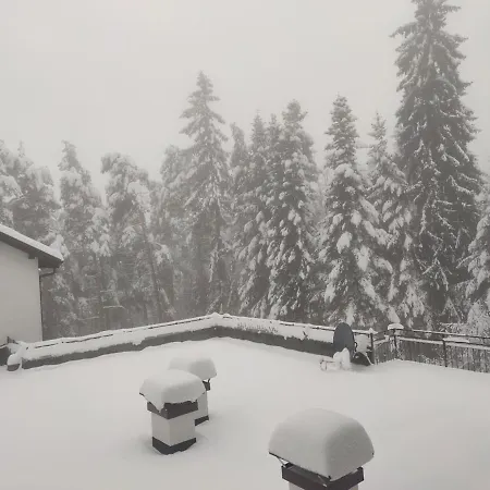 Apartament Forest Chamkoria