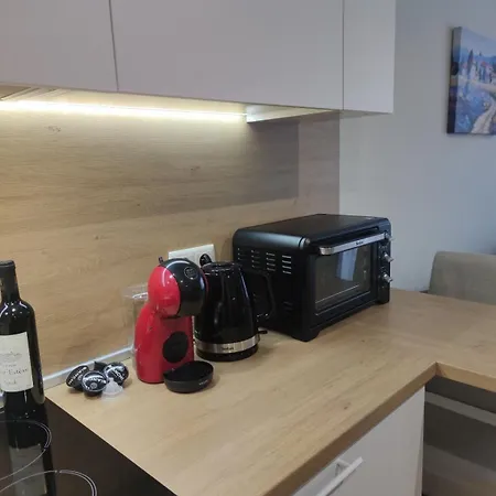 Apartament Forest Chamkoria *