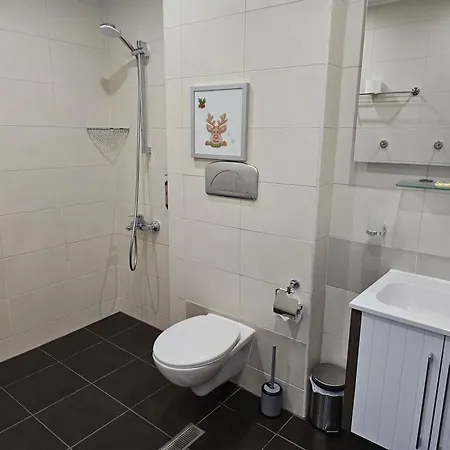 Forest Chamkoria Boroveț