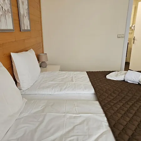 Apartament Forest Chamkoria *