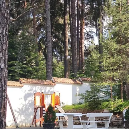 Forest Chamkoria *