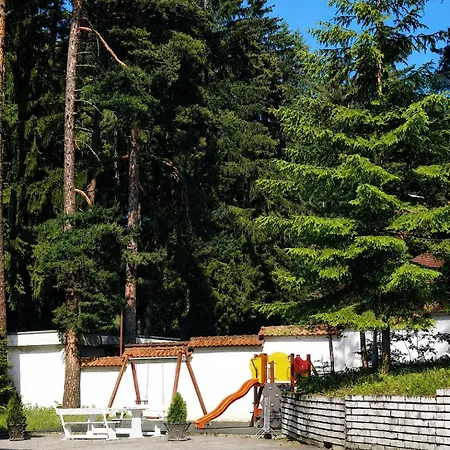 Forest Chamkoria Borovets