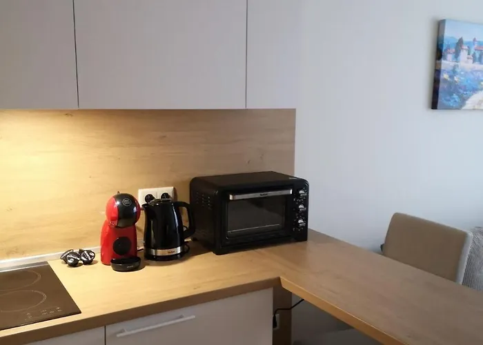 Forest Chamkoria * 보로베츠