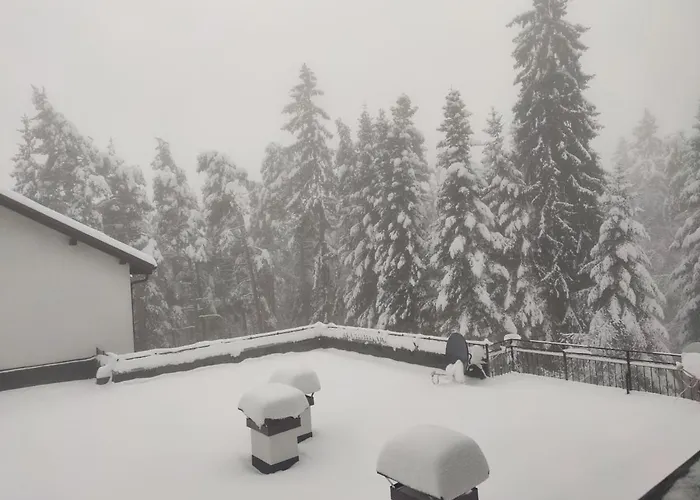 아파트 Forest Chamkoria