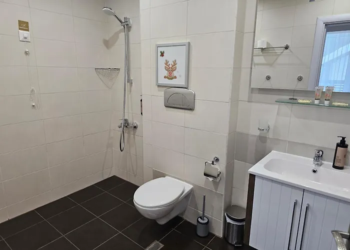 Forest Chamkoria 보로베츠